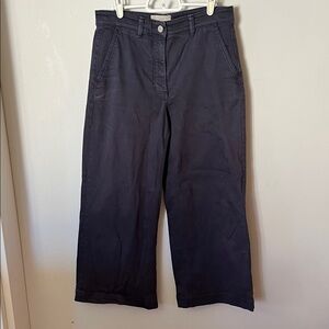 Everlane Wide Leg Dark Denim cropped  jeans  Size 6